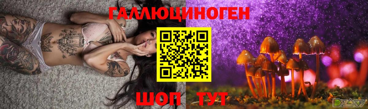 Майкоп  Галлюциногенные грибы GOLDEN TEACHER  Вход с VPN 